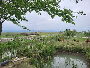 Torpaq sahələrinin satışı: 26000 sot, Kənd təsərrüfatı, Kupça (Çıxarış) — 1