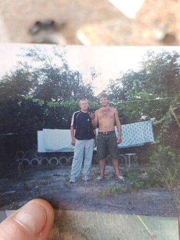 Mercedes-Benz: Mercedes-Benz W124: 1994 г., 2.8 л, Механика, Бензин, Универсал — 2