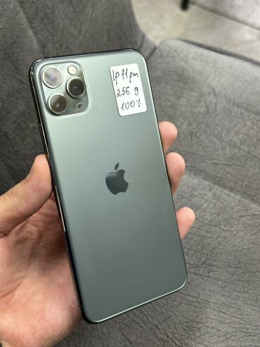 Apple iPhone: IPhone 11 Pro Max, Б/у, 256 ГБ, Зеленый, Защитное стекло, Чехол, 100 %