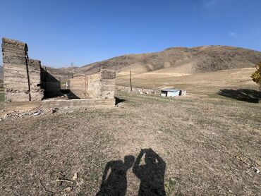 Куплю земельный участок: 48 соток — 1