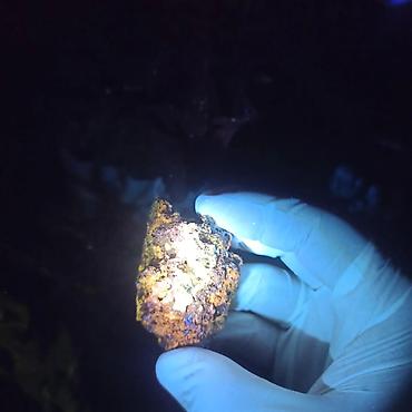 Digər kolleksiyalar: UV Parlayan Təbii Daş Satılır – Kolleksiya üçün Nadir Kristal 💎 — 9