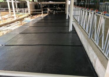 Digər kənd təssərüfat avadanlığı: Heyvan yatağı. Heyvan döşəyi. Heyvan yataqı. Turkiyə istehsalı — 9