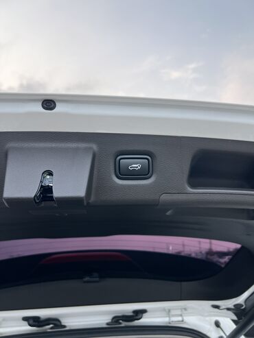 Hyundai: Hyundai Santa Fe: 2019 г., 2 л, Автомат, Дизель, Кроссовер — 23