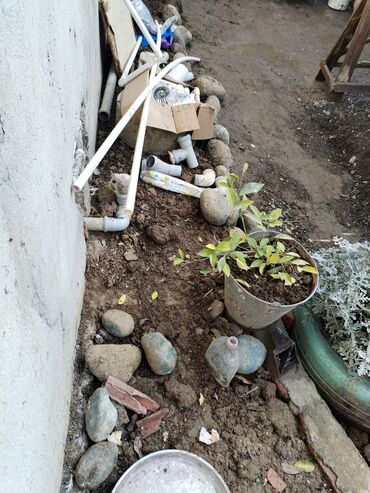 Uzunmüddətli kirayə evlər: 32 kv. m, 2 otaqlı, Qaz, İnternet, Artezian quyusu — 5