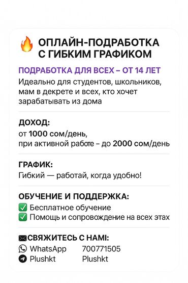 я ищу работу на дом: Онлайн-подработка с гибким графиком! 💰Доход: от 1000 сом в день, при