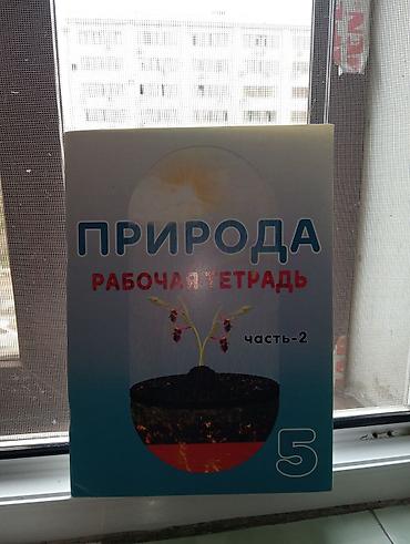 Книги и журналы: Информатика 5 класс, 2022 год, Платная доставка — 1