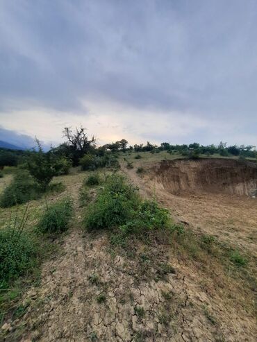 Torpaq sahələrinin satışı: 33 sot, Tikinti, Barter mümkündür, Kupça (Çıxarış) -da lalafo.az — 4 Torpaq sahələrinin satışı: 33 sot, Tikinti, Barter mümkündür, Kupça (Çıxarış) — 4