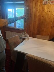 taxta biti nece mehv etmek olar: Luster satilir 20mnt razilsmaq olar