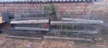 шкаф для раздевалки: Другая сетка at lalafo.kg шкаф для раздевалки: Другая сетка