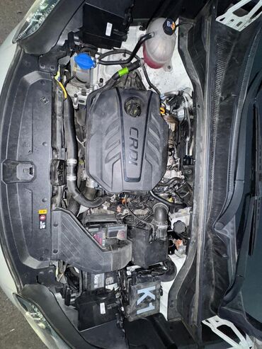 Kia: Kia Sportage: 2021 г., Бензин, Кроссовер — 11