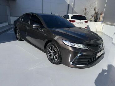 крутые машины: Toyota Camry: 2020 г., 2.5 л, Автомат, Гибрид, Седан