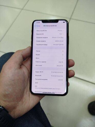 Apple iPhone: IPhone 11 Pro Max, Б/у, 256 ГБ, Золотой, Защитное стекло, Чехол, 80 %