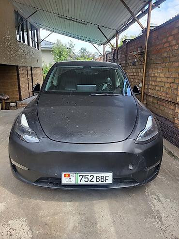 wuling mini ev: Tesla Model Y: 2021 г., Электромобиль, Кроссовер — 1