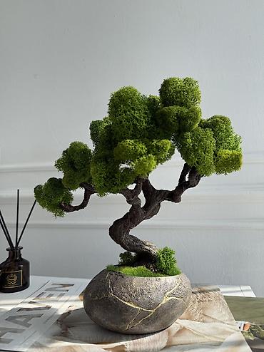 Декоративные цветы: В переводе с японского Бонсай означает «дерево, выращенное в блюде» — 45