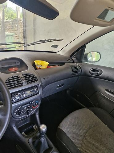 auto kamera 3 u 1: Peugeot 206, hečbek, srebrna boja. Karoserija i spoljašnost: - 5 — 8