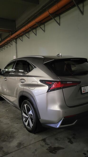 Lexus: Lexus NX: 2018 г., 2.5 л, Автомат, Гибрид, Кроссовер — 6