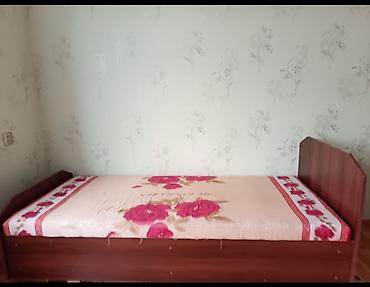 gul biznesi: İşlənmiş, Təknəfərlik çarpayı, Bazalı, Matrassız, Siyirməsiz, Azərbaycan — 2