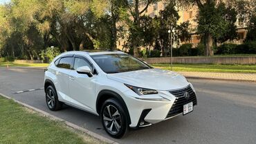 глушитель лексус: Lexus NX: 2018 г., 2 л, Автомат, Бензин, Кроссовер
