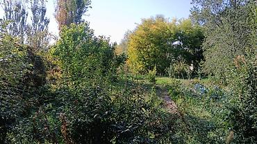 24: Продается дом, участок 24 сотки участок идеально под строительство — 7