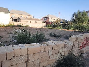 50 mine heyet evleri: 10 sot, Mülkiyyətçi — 2