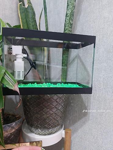 akvarium qızdırıcı: Topdan satılır say çoxdu ölçülər 30×25×15 (. 11 litir qapaqlı və — 10