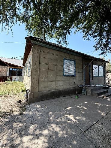 Продажа коттеджей и домов: 🏡 Продается дом в Сокулуке! 📍 Всего 200 метров от трассы! 🏠 Площадь — 3
