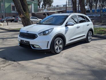 Kia: Kia Niro: 2018 г., 1.6 л, Вариатор, Гибрид, Кроссовер