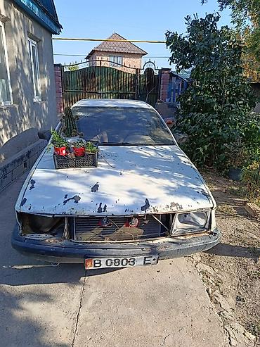audi 80 1988: Audi 100: 1989 г., Седан — 1