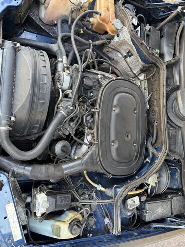 Mercedes-Benz: Mercedes-Benz W124: 1989 г., 2.3 л, Механика, Бензин, Универсал — 7