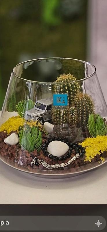 Bitkilər üçün dibçəklər: Şüşə akvarium formalı terrarium kompozisiyaları - Şəffaf şüşə qabda — 4