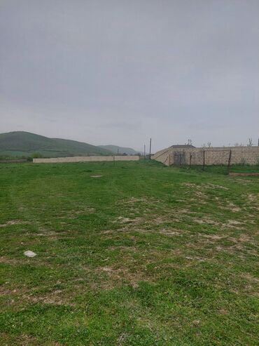 Torpaq sahələrinin satışı: 31 sot, Kənd təsərrüfatı, Kupça (Çıxarış) -da lalafo.az — 13 Torpaq sahələrinin satışı: 31 sot, Kənd təsərrüfatı, Kupça (Çıxarış) — 13