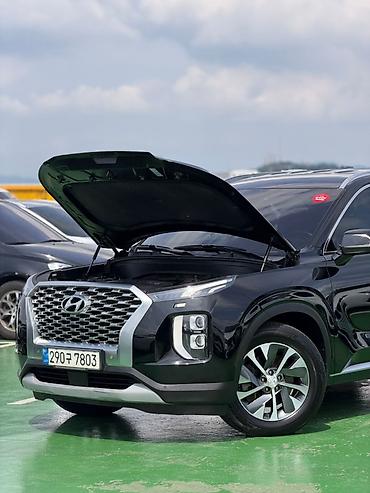 218: Hyundai Palisade: 2020 г., 2.2 л, Автомат, Дизель, Внедорожник — 6
