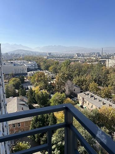 12 мик: Студия, 30 м², Индивидуалка, 12 этаж, Дизайнерский ремонт — 10