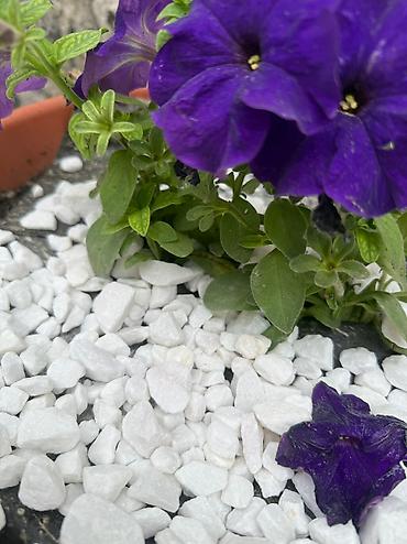 Мраморная крошка: Мраморная крошка, Белый, Ландшафтная, В тоннах — 3