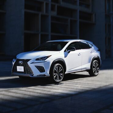 омыватель фар камри: Lexus NX: 2018 г., 2 л, Автоматические, Бензин, Кроссовер