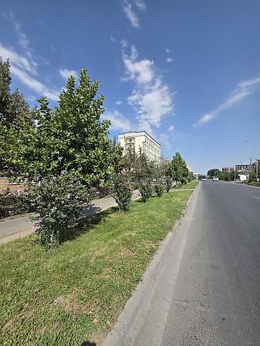 Дома: СРОЧНО ПРОДАЕТСЯ ЗЕМЕЛЬНЫЙ УЧАСТОК НА ПЕРВОЙ ЛИНИИ! Район Баха — — 3