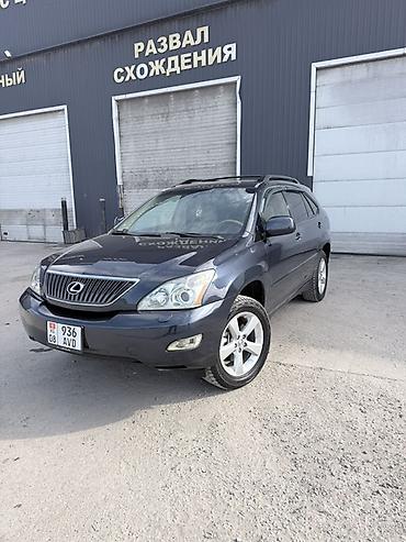 Lexus: Lexus RX: 2004 г., Кроссовер — 1