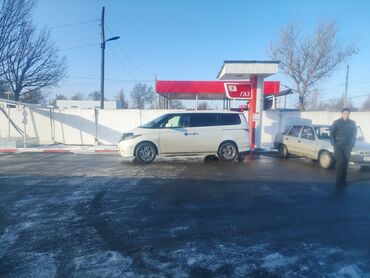 продам машину бишкек: Honda Elysion: 2004 г., 3 л, Автомат, Газ, Минивэн