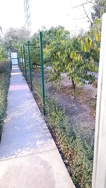 Заборы и ограждения: Заборы и ограждения — 14