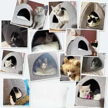 Oprema za kućne ljubimce: *** AKCIJA *** #1829 Krevet Šator za mačke WINDRACING; Dimenzije — 3