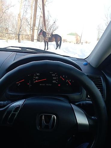 Honda: Honda Accord: 2003 г., 2 л, Автомат, Бензин, Седан — 2