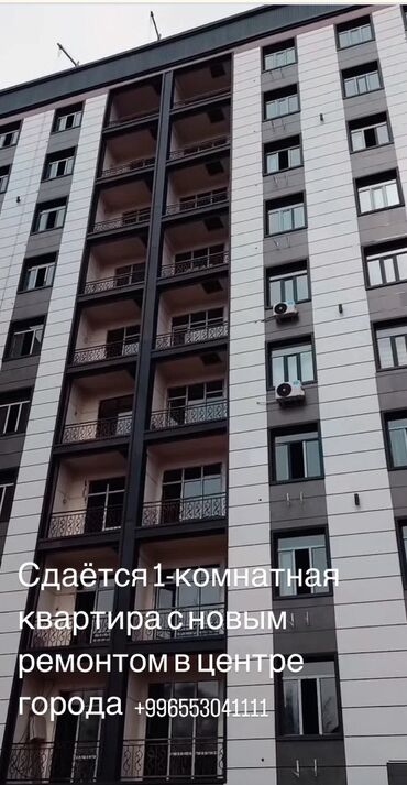 ак ордо квартиа: 1 бөлмө, Менчик ээси, Чогуу жашоосу жок, Жарым -жартылай эмереги бар