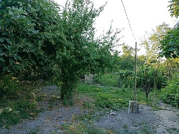lalafo şirvan ev: 2 otaqlı, 80 kv. m, Təmirsiz — 9