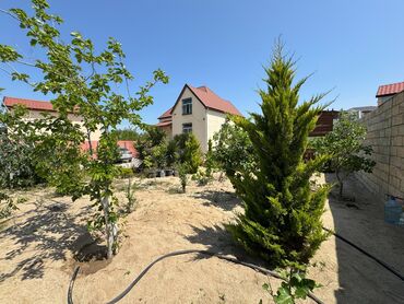 Uzunmüddətli kirayə evlər: 800 kv. m, 3 otaqlı, Qaz -da lalafo.az — 23 Uzunmüddətli kirayə evlər: 800 kv. m, 3 otaqlı, Qaz — 23