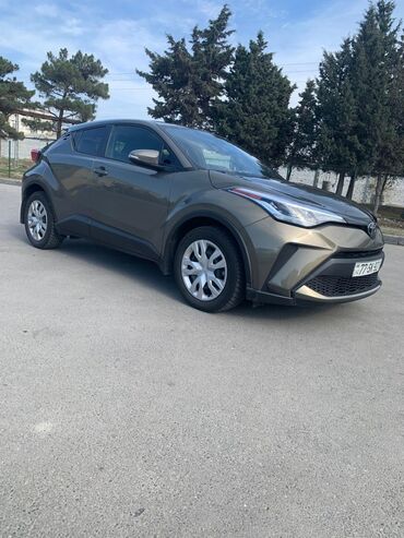 Toyota: Toyota C-HR: 2 l | 2021 il Universal