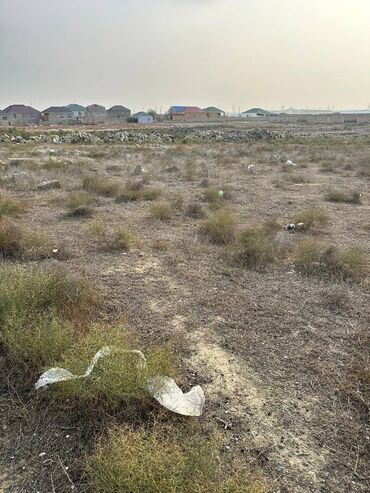 Torpaq sahələrinin satışı: 30 sot, Kənd təsərrüfatı, Makler, Kupça (Çıxarış), Texniki pasport -da lalafo.az — 8 Torpaq sahələrinin satışı: 30 sot, Kənd təsərrüfatı, Makler, Kupça (Çıxarış), Texniki pasport — 8