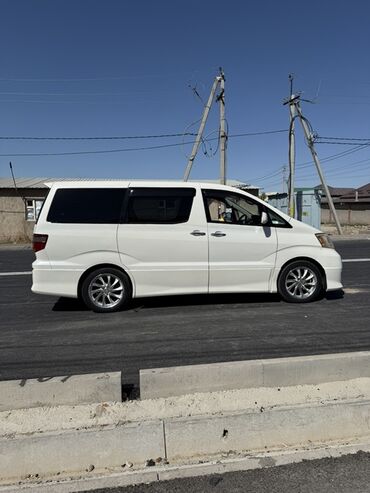 алфардь: Toyota Alphard: 2008 г., 0.3 - engine capacity л, Автомат, Бензин, Вэн/Минивэн
