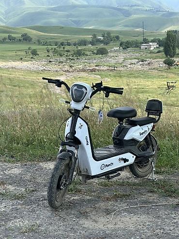 byd han купить: Электроскутер Panda - Тип: электрический скутер — 1