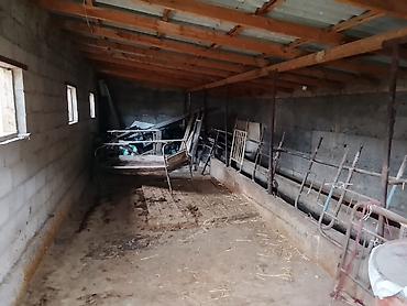 Продажа коттеджей и домов: 🏡 Продаётся участок с домом — отличная возможность для жизни и — 13