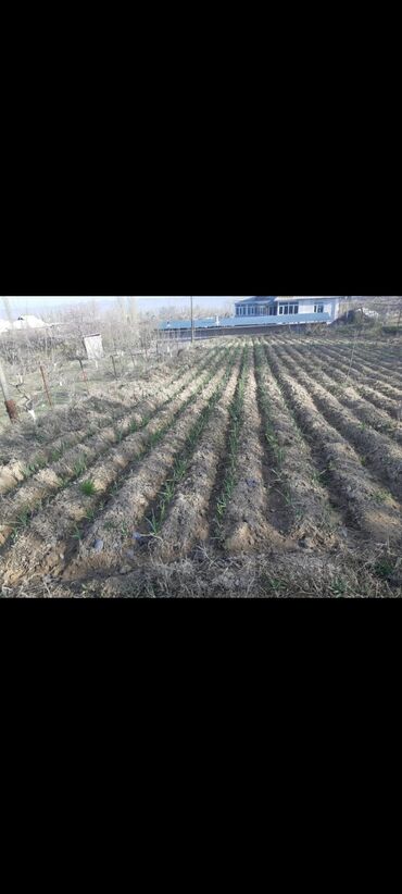 Продажа домов: Дом, 4 м², 3 комнаты, Собственник — 11